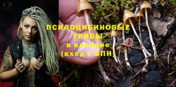 кокс Гусь-Хрустальный